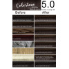 5.0 Medium Chocolate- 6 TUBES pack (same color, no developer) Colortone professional 100ML
