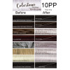 10PP Light Violet slate (toner tint) Colortone professional  100ml +100ml 20 vol developer