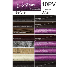 10PV purple violet blonde - 6 TUBES pack  (same color, no developer) Colortone professional 100ML