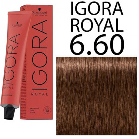 6.60 Igora Royal Professional -60ml +60ml 20vol developer