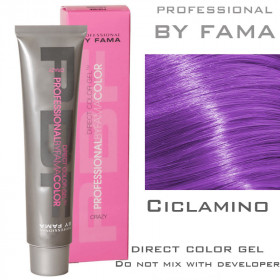 Purple cyclamen Direct deposit gel tint Professional by FAMA 60ml