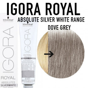 Igora Royal Professional Absolutes Dove grey (medium silver) 60ml +60ml 20vol developer