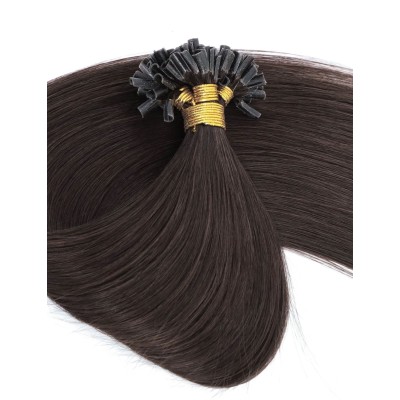 Colors 2 50cm U tip Indian remy human hair (10 strands)