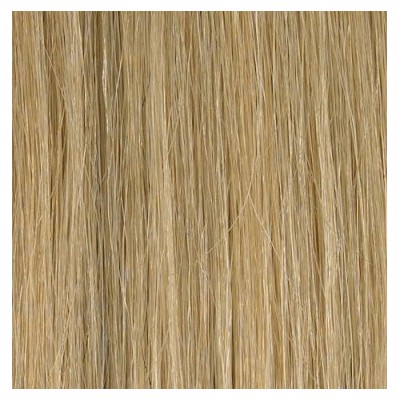 Color M18A22 50cm 10pc 120g High quality Indian remy clip in hair