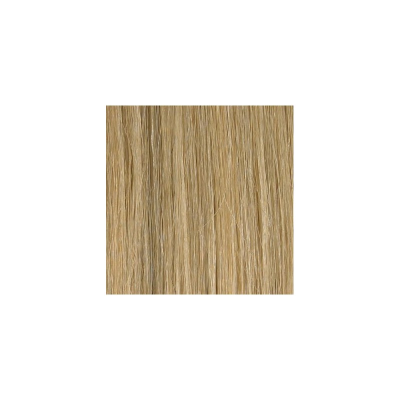 Color M18A22 50cm 10pc 120g High quality Indian remy clip in hair