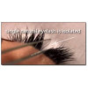 12mm Silk single lashes extensions