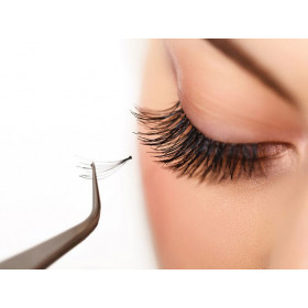 Mink cluster (invisible base) 3 strand fan lashes extensions