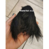 Silver fox ears 1 pair, clip on hair pin, synthetic fur