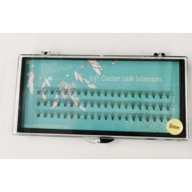 Mink collection 10D invisible base, 10 strand cluster eyelash extensions box