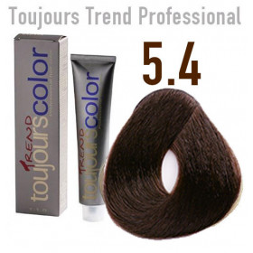 Toujours trend 5.4 light copper brown Permanent dye  100ml +100ml 20vol developer