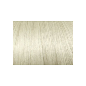 Light Ash blonde  (*10.1) Volume max Hair building fibre 27g bottle