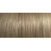 Light ash brown  (*8.1)  Volume max Hair building fibre 27g bottle