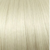 Silver blonde (11.1) Volume max Hair building fibre 27g bottle