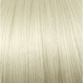 Lightest blonde (*10.0)  Volume Max hair building fibre 27g bottle